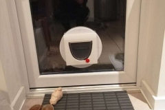 gallery-catflaps18
